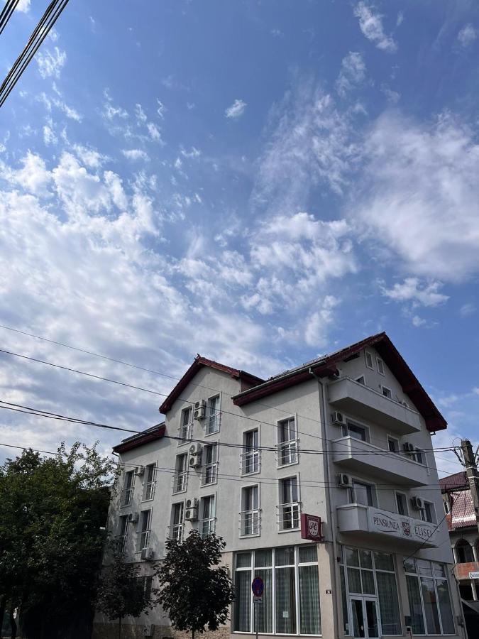 Camere De Inchiriat Elisei Тимишоара Екстериор снимка